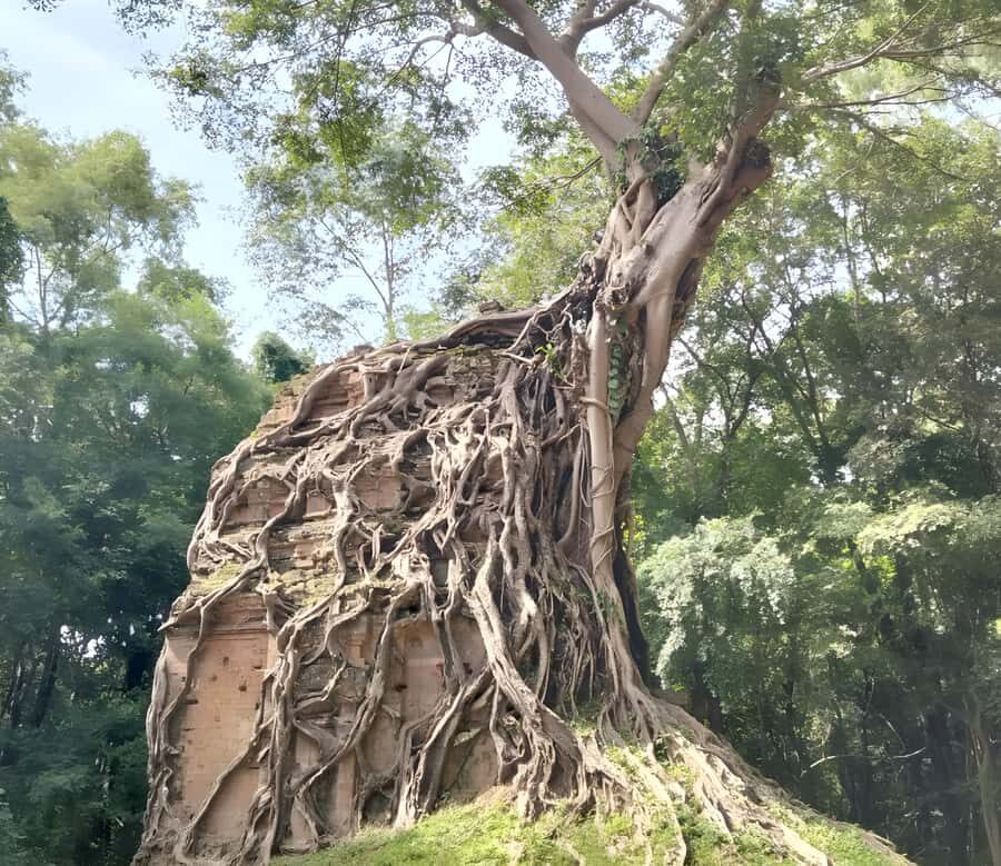 Siem Reap: Sambor Prei Kuk & Floating Village Private Tour - Discovering the Roots: Sambor Prei Kuk