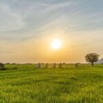 Siem Reap: Sunset Guided Vespa Tour & Local Villages - The Experience of the Guides and the Small Group