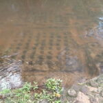 Siem Reap to Phnom Kulen: Waterfalls & 1000 Lingas Tour - Potential Drawbacks & Considerations