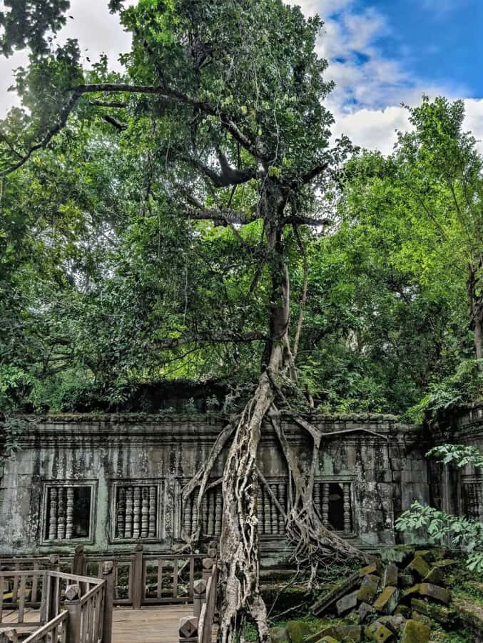 Siem Reap:Grand Circuit Banteay Srei & Floating village Tour - Who Should Consider This Tour?