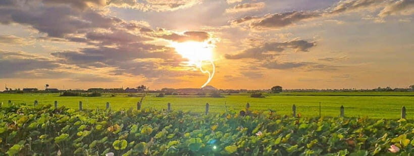SiemReap Sunset Dinner Riding an Ox-Cart at Rice Paddy Field - The Itinerary Breakdown