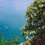 Sightseeing Boat Trip in Trincomalee - Final Thoughts