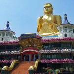 Sigiriya and Dambulla Day Tour from Kandy - What Makes This Tour Stand Out?