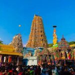 Sigiriya Dambulla and Minneriya Day Tour from Kandy - What We Appreciate About This Tour