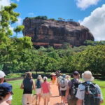 Sigiriya Hike & Minneriya Safari Private Full Day Tour - Authentic Sri Lankan Lunch: A Flavorful Break