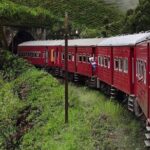 Sigiriya, Kandy to Ella TRain Ride plus Up Country TEA[B&B Basis] - The Experience: What You’ll Love and What to Keep in Mind