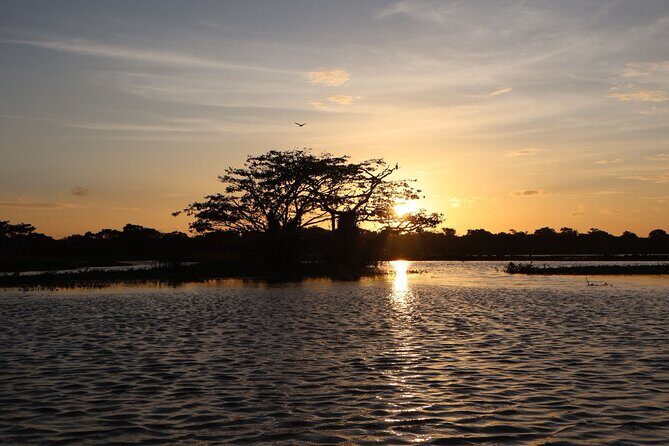 Sigiriya Kayaking with Sunrise and Sunset Experience - Who Will Love This Experience?
