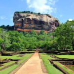 Sigiriya Lion Rock & Minneriya National Park Elephant Safari - Exploring the Water Gardens and Surroundings