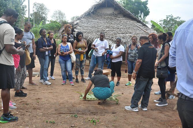 Sigiriya Rock and Village Tour from Negombo - Who Is This Tour Best For?