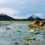 Sigiriya: Sunrise or Sunset Kayaking Tour - Final Thoughts