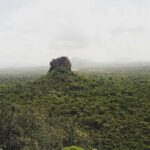 Sigiriya to Kandy Transfer with Dambulla and view points - An In-Depth Look at the Experience