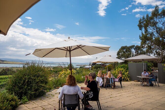 Signature Saturday Wine Tour - What Reviewers Say