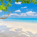 Similan Islands Full Day - Premium - Real Traveler Insights: What People Love (and What They Don’t)