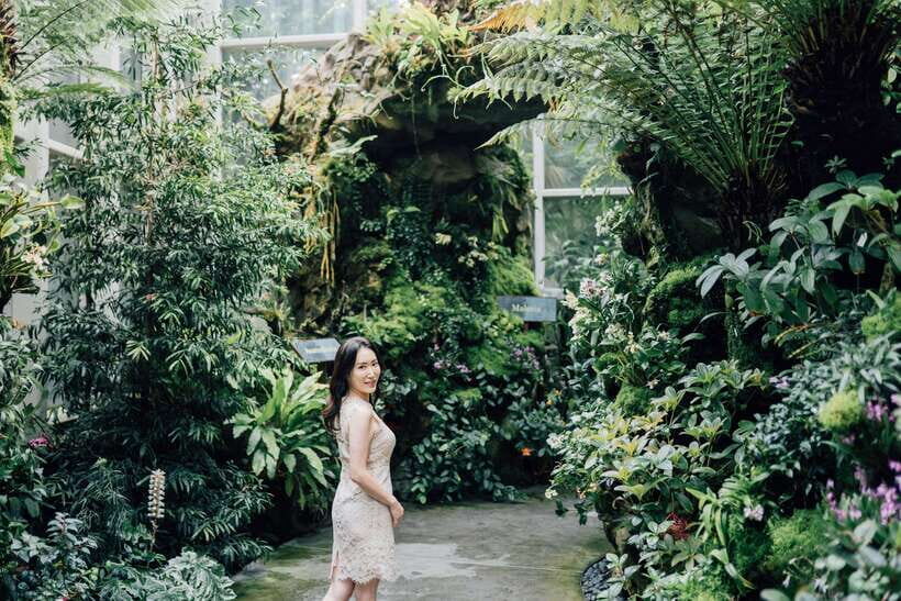 Singapore: Botanical Gardens Entry & Photography Session - What Makes This Tour Stand Out