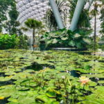 Singapore: Discover Jewel Changi Guided Tour - Who Will Get the Most from This Tour?