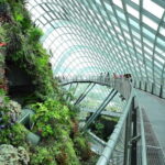 Singapore: Gardens by the Bay Accessible Guided Tour - FAQ
