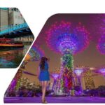 Singapore Guided Night Tour with 2 Light Shows & River Cruise - Iconic Landmarks and Cultural Insights