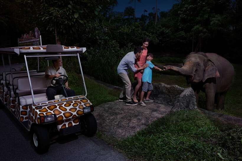 Singapore: Night Safari and Tram Ride Ticket - What You Can Expect from the Night Safari