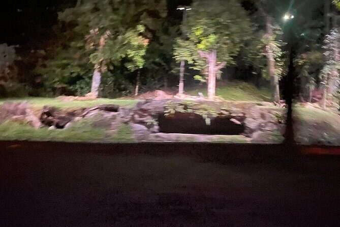 Singapore Night Safari Entrance Ticket with Tram Ride - Real Traveler Insights