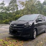 Singapore Private Airport Transfer & Hotel Departure/Arrival - Potential Drawbacks to Consider