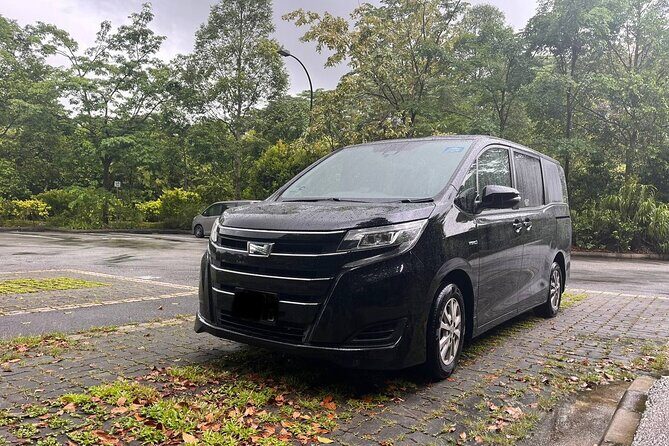 Singapore Private Airport Transfer & Hotel Departure/Arrival - Potential Drawbacks to Consider