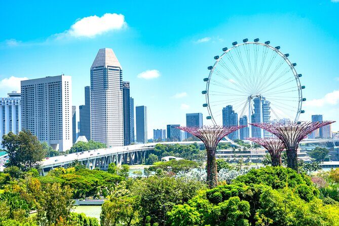 Singapore Private Customized City Tour with Driver - What Travelers Love About This Tour