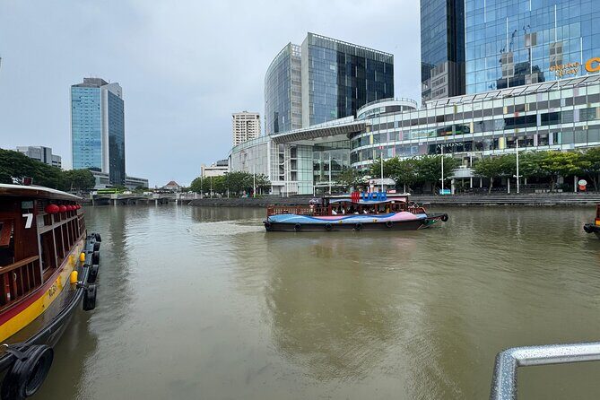 Singapore River Cruise, Night Garden Rhapsody and Spectra Tour - Who Should Consider This Tour?