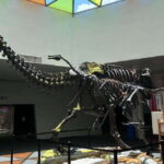 Singapore: Science Center E-Ticket - Is It Worth the Price?