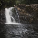 Sinharaja' rainforest - Discovery Tour (half day) - Practical Details and What You Need to Know