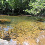 Sinharaja Rainforest Trip - The Sum Up