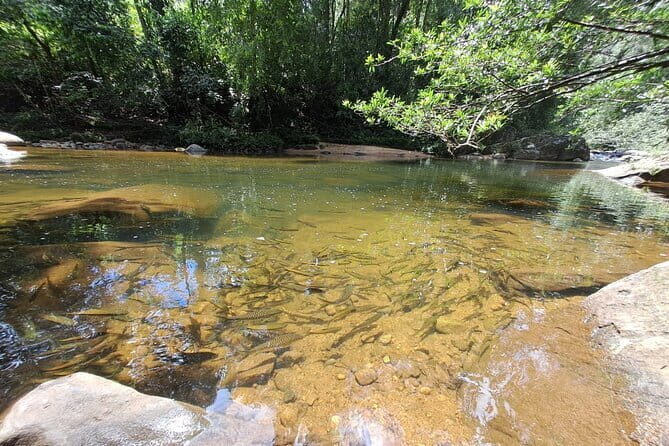 Sinharaja Rainforest Trip - The Sum Up