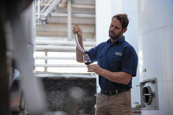 Sirromet Cellar Door Wine Tasting Public Tour with Lunch - What to Expect from the Tour
