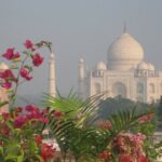 Skip-the-Line Taj Mahal Red Fort &Baby Taj Tour from Delhi by Car - Practical Tips for Making the Most of the Tour