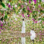 Skip the Line TeamLab Planets Ticket including Tokyo Hotel Pickup - Who Should Book This Tour?