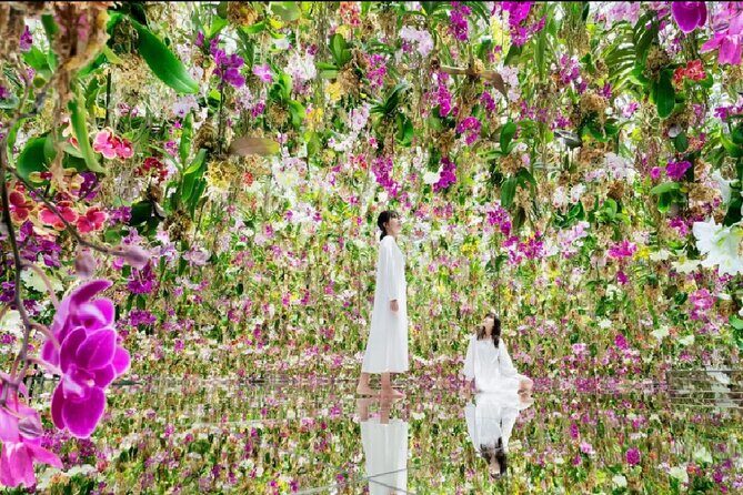Skip the Line TeamLab Planets Ticket including Tokyo Hotel Pickup - Who Should Book This Tour?
