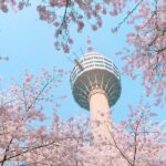 Sky Capsule with Cherry Blossom & Spring Flowers Tour from Busan - Who Should Consider This Tour?