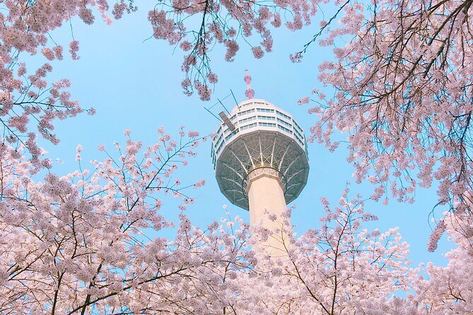 Sky Capsule with Cherry Blossom & Spring Flowers Tour from Busan - Who Should Consider This Tour?