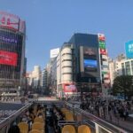 Sky Hop Bus Tokyo - Practical Details and Tips