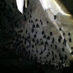 SkyCab & Sky Bridge Discovery  Exclusive Private Tour - Who Would Love This Tour?