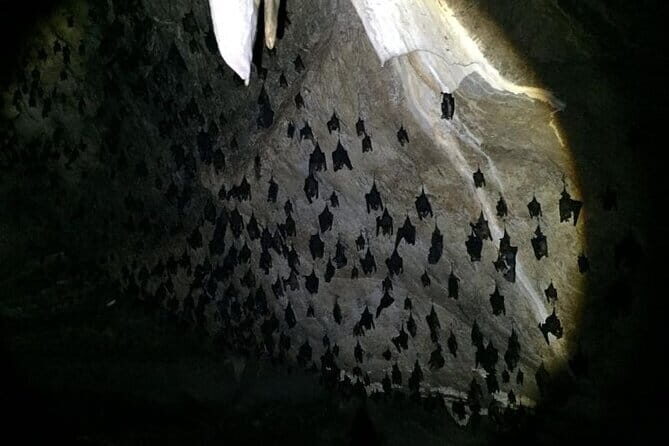 SkyCab & Sky Bridge Discovery  Exclusive Private Tour - Who Would Love This Tour?