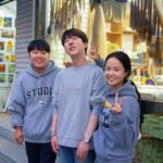 Small Group (7pax) Seoul Tour with Pickup/Dropoff (No Shopping) - Transportation & Logistics