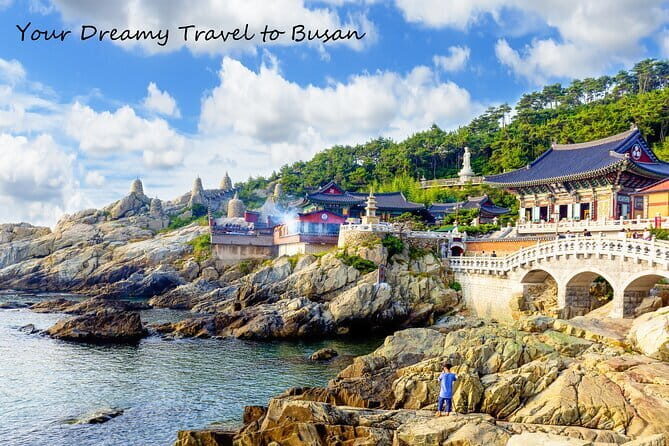 Small Group Busan Must-see Tour Opt. Songdo Ocean Cable Car - Who is This Tour Best Suited For?