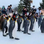Small Group Hokkaido Sapporo Abashiri 9-Guest 2-Day Tour - What Makes This Tour Stand Out