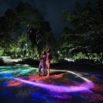 (Small Group) Starry Night Singapore Sentosa Tour - Whats Included and What to Expect