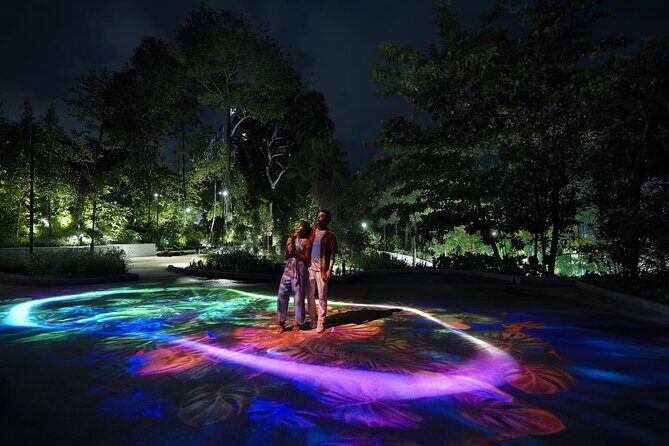 (Small Group) Starry Night Singapore Sentosa Tour - Whats Included and What to Expect