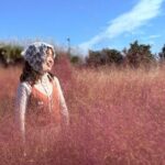 Small Group Tour for Jeju Fall Pink Muhly, Tangerines & Mt. Halla - What Makes This Tour Stand Out?