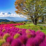 Small Group Tour Mount Fuji and Lake Kawaguchi from Tokyo - Final Thoughts