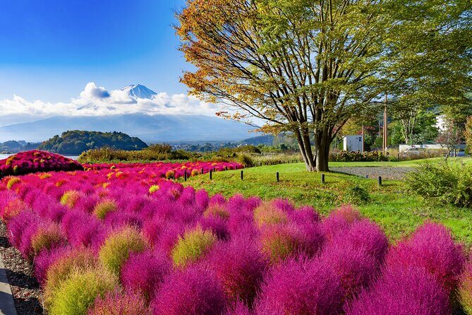 Small Group Tour Mount Fuji and Lake Kawaguchi from Tokyo - Final Thoughts