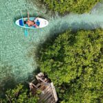 Snorkel Aruba's Vibrant Waters and Serene Mangroves Private Tour - Who Should Book This Tour?