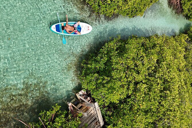 Snorkel Aruba's Vibrant Waters and Serene Mangroves Private Tour - Who Should Book This Tour?